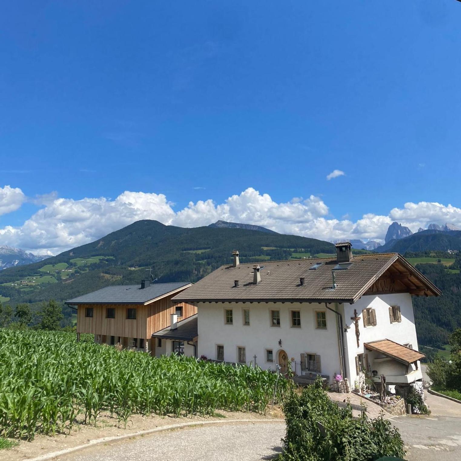 Schweiggerhof -Agriturismo- Farm Holidays Villandro Ngoại thất bức ảnh